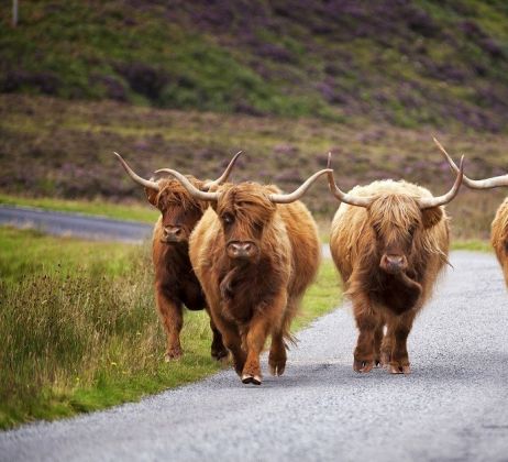 Explore redspokes' Scotland Bicycle Tours